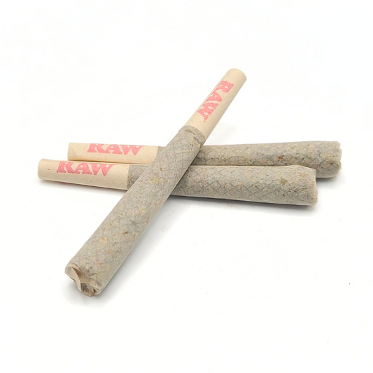 Fat J Ark House Pre Roll