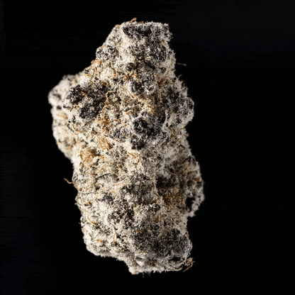 Mood Top Shelf Flower - Super Buff Cherry (3.5g)
