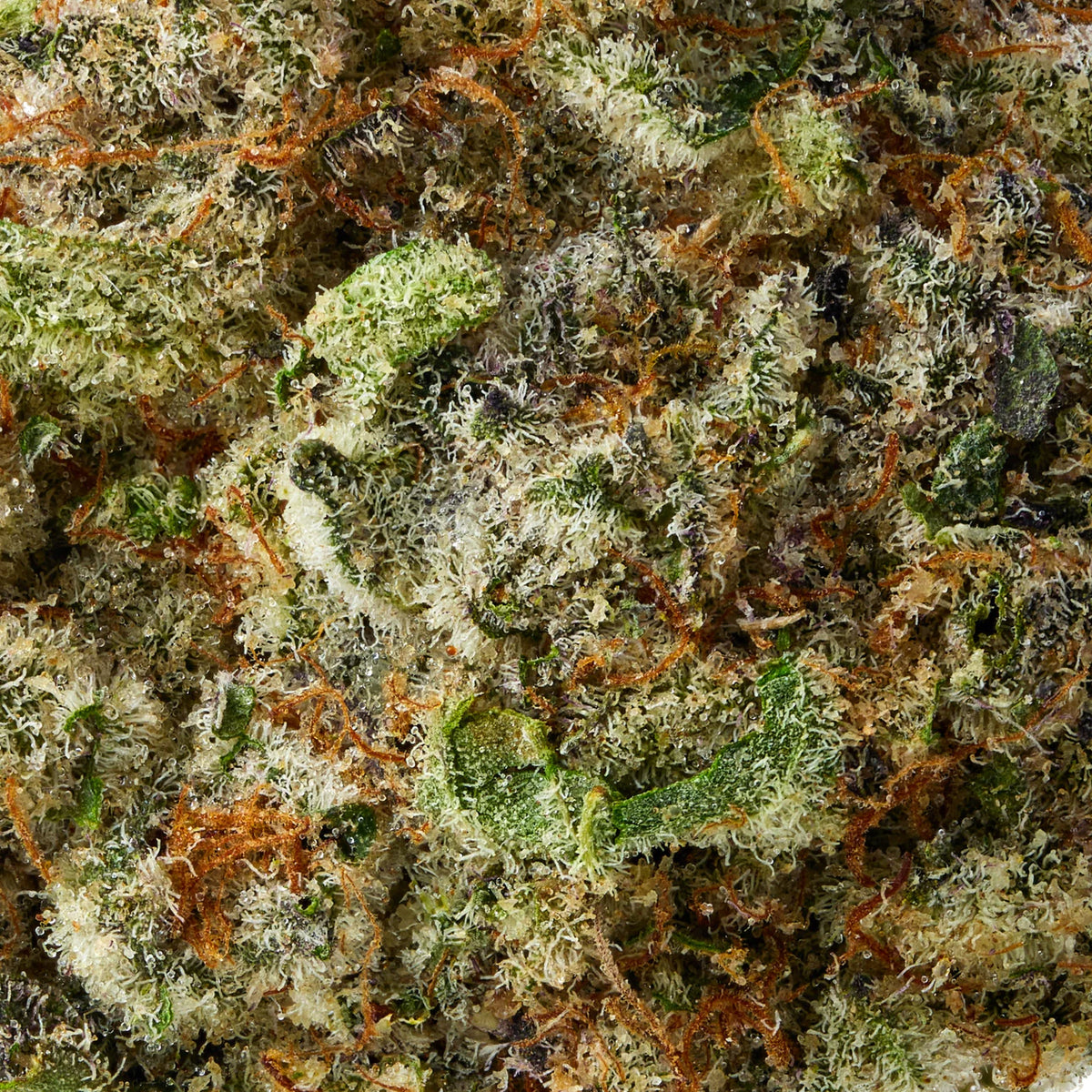 Mood Top Shelf Flower - Super Buff Cherry (3.5g)