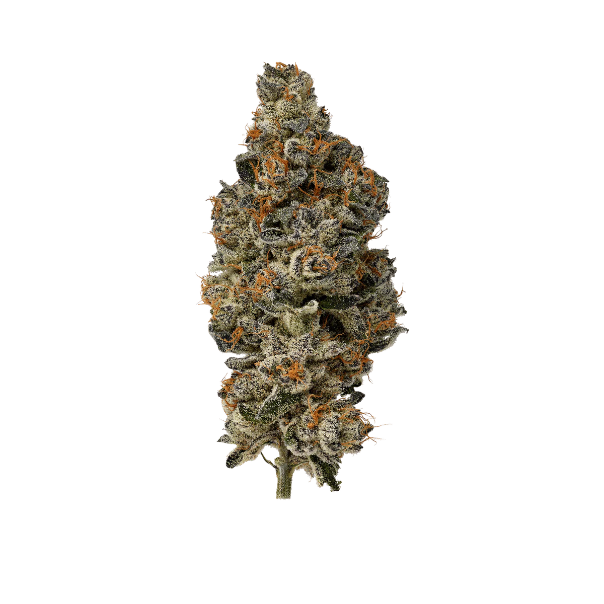 Mood Top Shelf Flower - Sub Zero (3.5g)