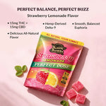 TillMans Gummies - 20ct - Perfect Dose (Strawberry Lemonade)