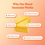 TillMans Gummies - 20ct - Perfect Dose