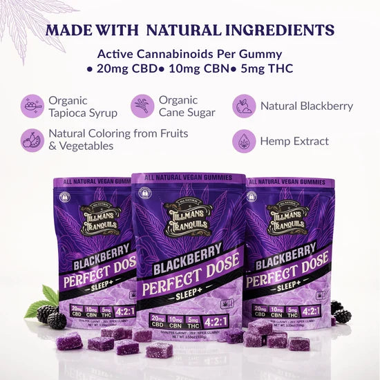 TillMans Gummies - 20ct - Perfect Dose (Blackberry)