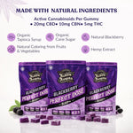 TillMans Gummies - 20ct - Perfect Dose (Blackberry)
