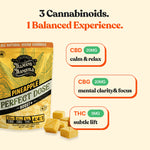 TillMans Gummies - 20ct - Perfect Dose